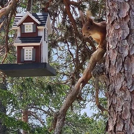 Ferienhaus Ekornredet Kongsberg